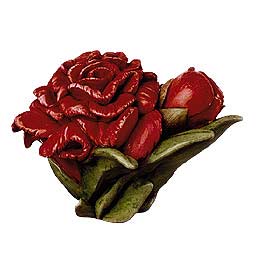 Carnation