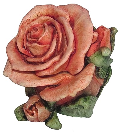 Single Orange Rose