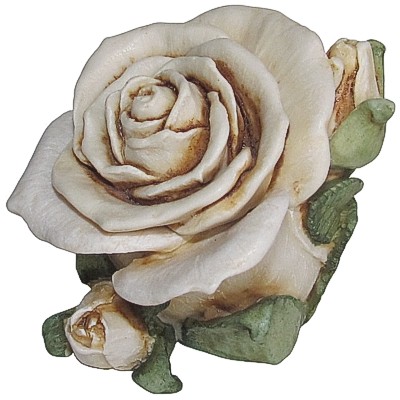 Single White Rose
