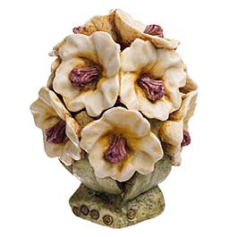 Rhododendron
