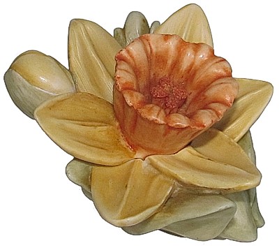 Mother's Day Daffodil