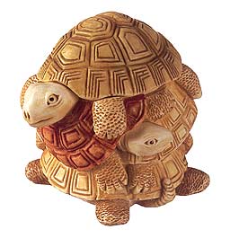 Shell Game