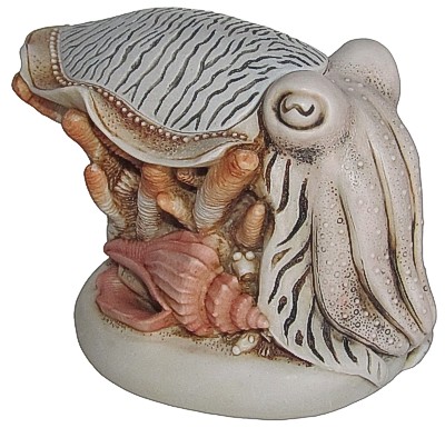 Never Mind The Mollusc