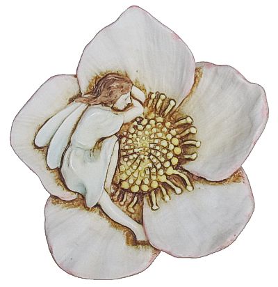 Madelon's Rose
