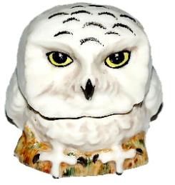 Snowy Owl