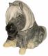 Misty The White Pony