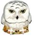 Snowy Owl