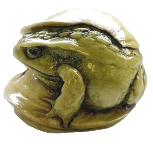 Frog Under Leaf