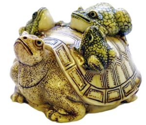 Frogs On Tortoise
