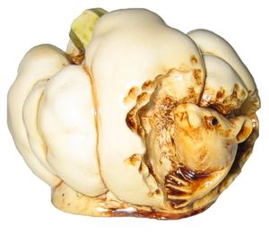 Rat In Pumpkin