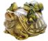 frogs on tortoise