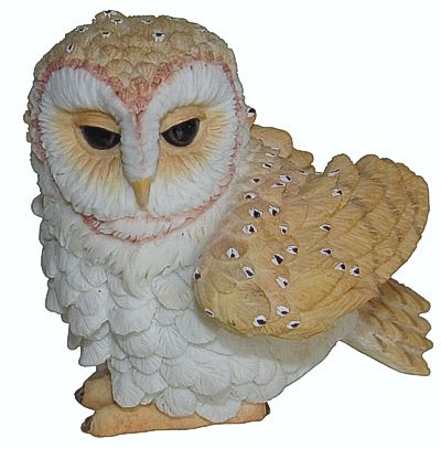 Owls