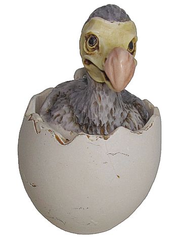 Dingo The Dodo Bird
