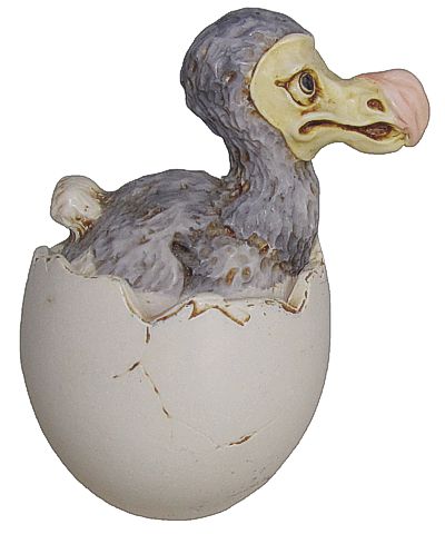 Dingo The Dodo Bird