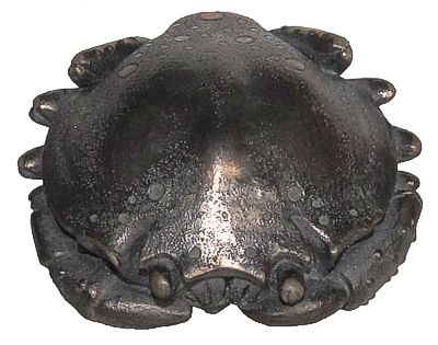 Crab Palm Charm - Bronze