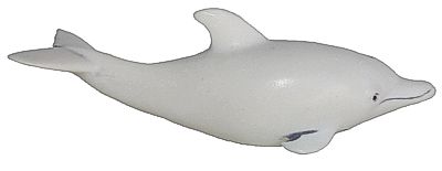 Dolphin Palm Charm