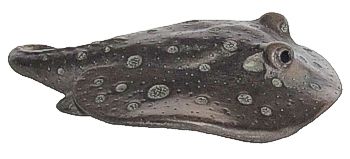 Stingray - Bronze