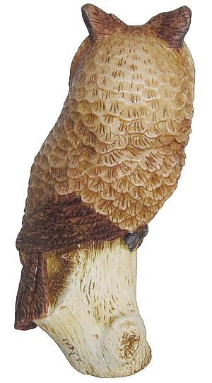 What A Hoot
