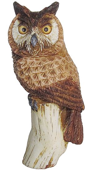 What A Hoot