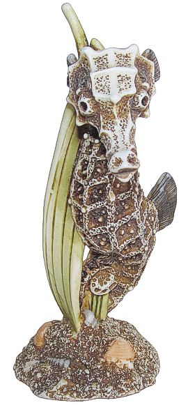 Seahorse - Brown Stain