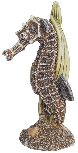 Seahorse - Brown Stain