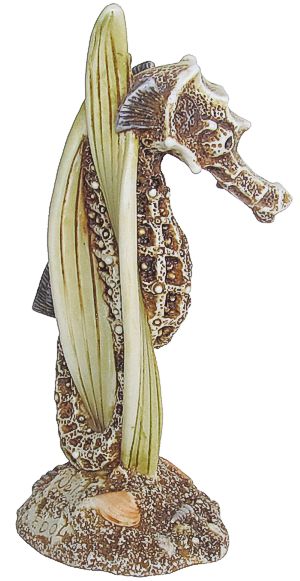 Seahorse - Brown Stain