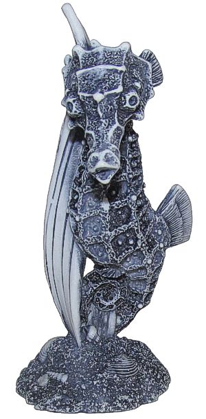 Seahorse - Black Stain