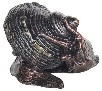 Slick The Snail - Overlay Finish