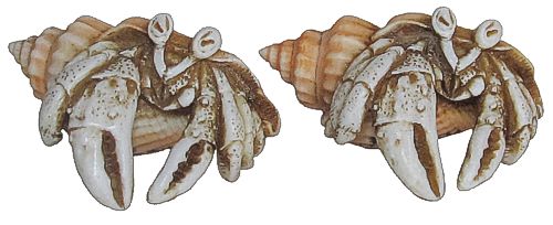 Pinchers The Crab