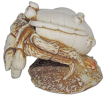 Rocky The Crab