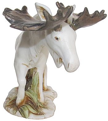 Moose