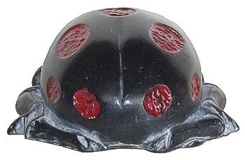 Spring Splendor - Special Onyx