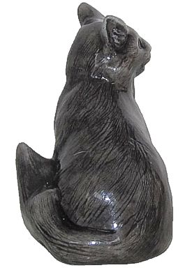 Cat-gr