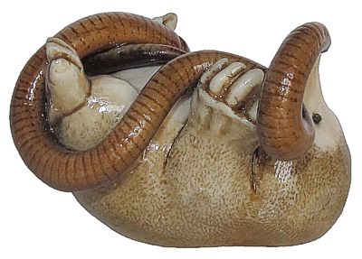 Mole And Worm