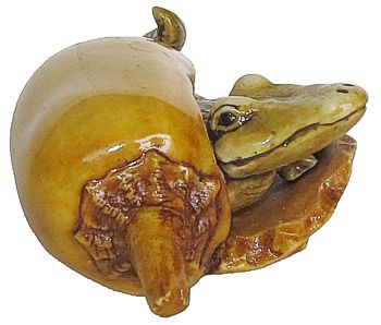 Crocodile In Chilli