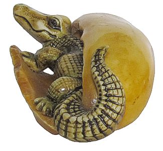 Crocodile In Chilli