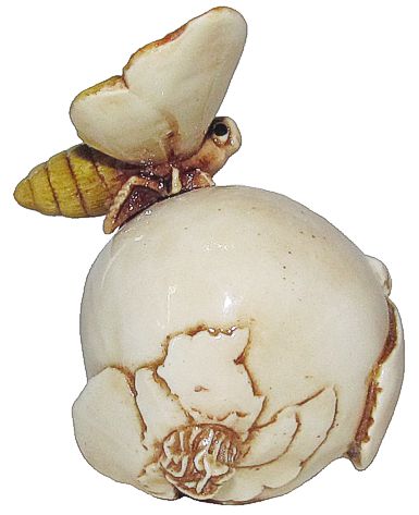 Moth On Onion
