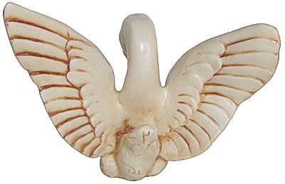 Swan
