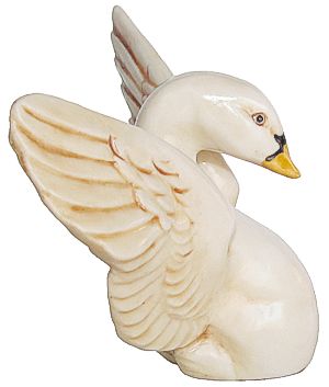 Swan