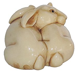 Baby Rabbits