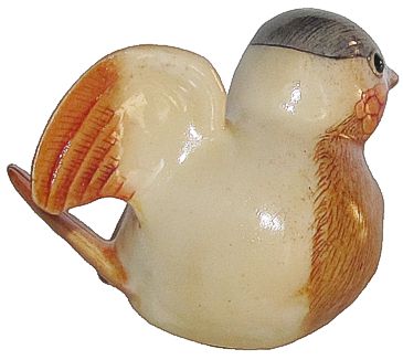 Young Bird