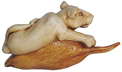 Lioness On Pod