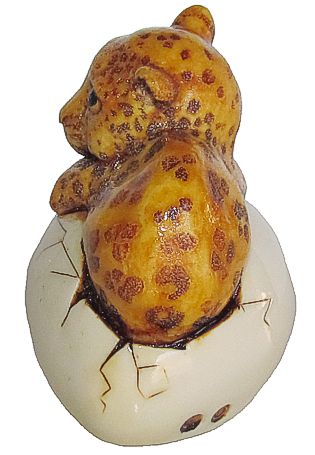 Leopard Cub In Egg