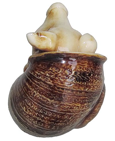 Pig In Snail Shell