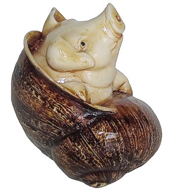 Pig In Snail Shell