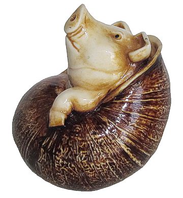 Pig In Snail Shell