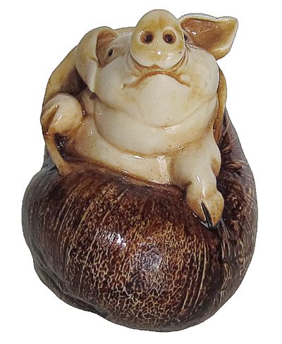 Pig In Snail Shell