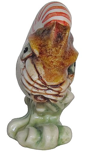 Nautilus
