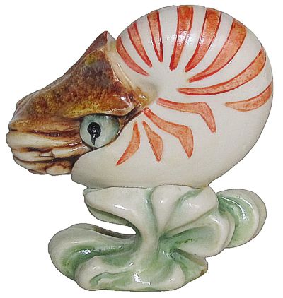 Nautilus