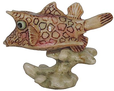 Cow Fish